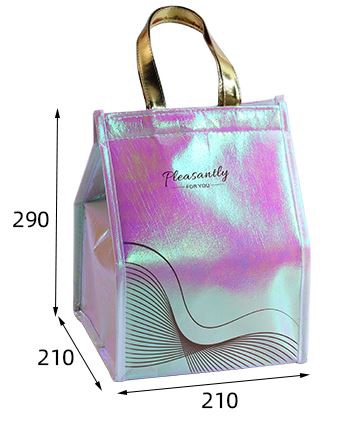 Laser Lamination Thermal Insulation Bag